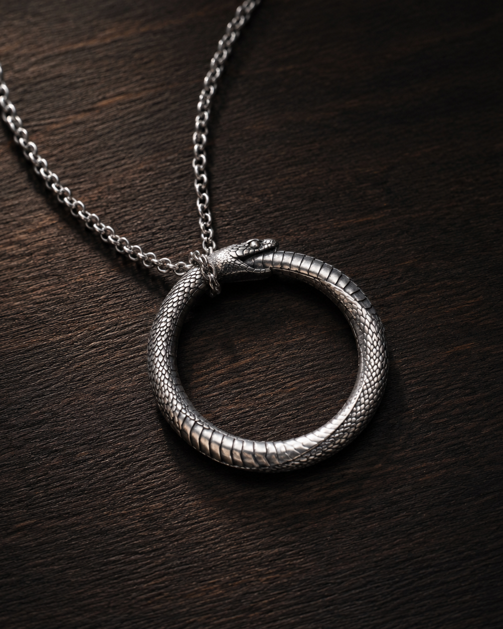 Ouroboros Serpent Circle Pendant, worn on a chain
