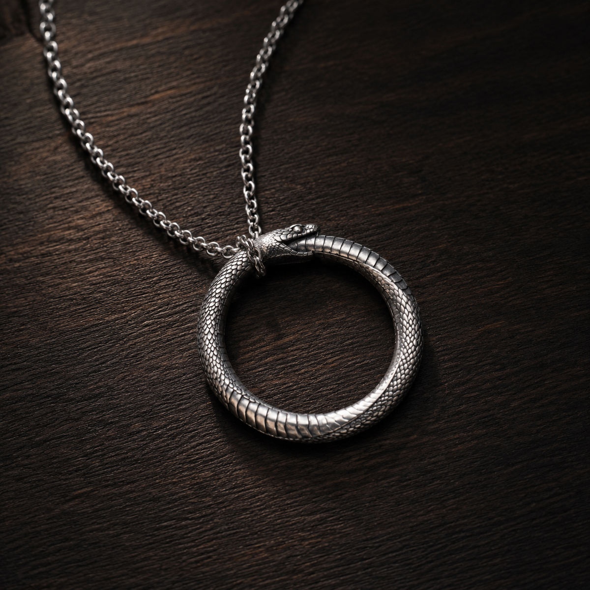 Ouroboros Serpent Circle Pendant, worn on a chain